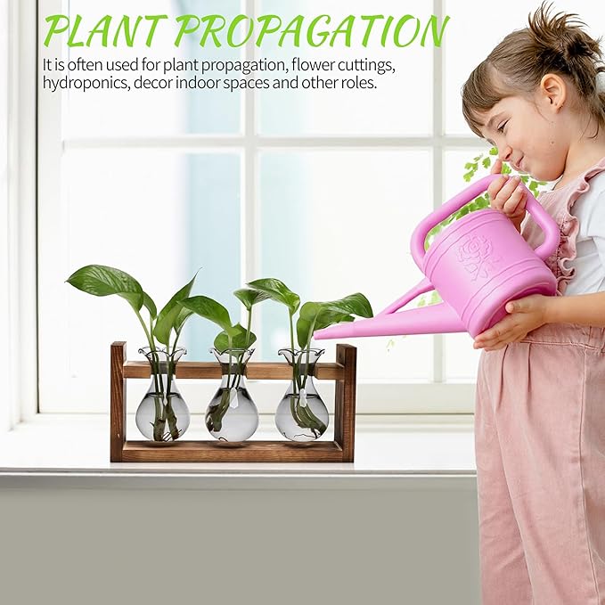 Plant Propagation Station Plant Terrarium Unique Birthday Gifts for Women Plant Lovers Home Office Decor Planter with Wooden Stand - 3 Bulb Glass Vase