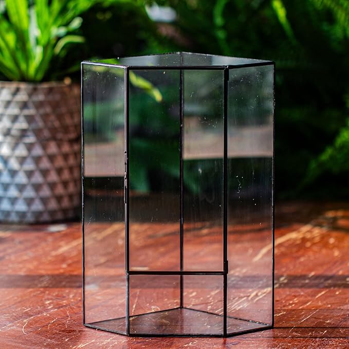 NCYP Wall Corner Geometric Glass Terrarium, Closed Front Opening Door Container Planter for Succulents, Small Plants - Black, Indoor Decor, Tabletop Landscape, 6.1" x 6.1" x 11.8" (Terrarium Only)