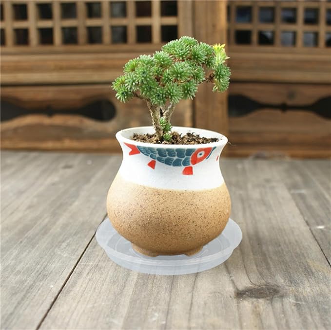 Plant Saucer 6 Pack of 8 inch, Clear Plastic Flower Plant Pot Saucer, Heavy Duty Plant Drip Trays Saucers for Indoor, Plant Water Tray for Planters