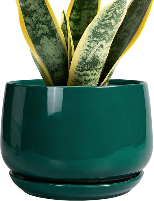 G EPGardening Ceramic Planter for Indoor Plants - 7 Inch Plant Pot, Round Planter with Drainage and Saucer, Round Flower Pots for Outdoor, Modern Desk Decor, Gift for Women Men, Green
