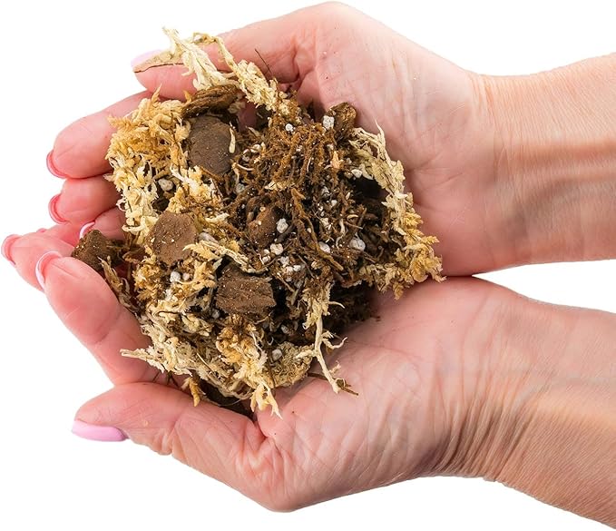 Premium Orchid Mix by GARDENERA - 10 Quart - Fern + New Zealand Pine Bark + Sphagnum Moss + Perlite | Best for Growing and Repotting Orchids (2 Bags of 5 QT)