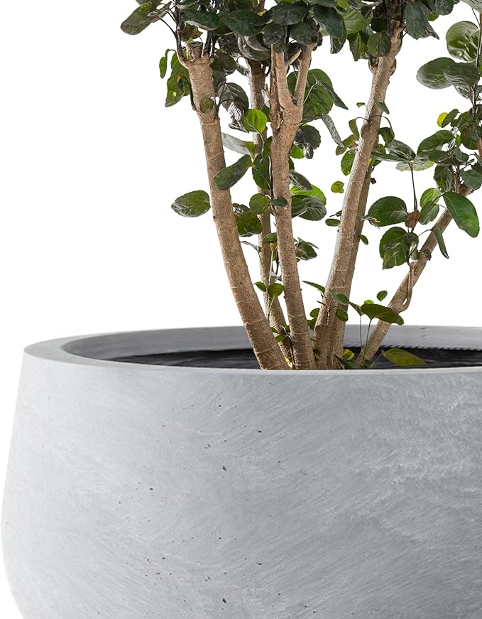 Kante 11.8" Dia Round Concrete Planter, Cement Plant Pots with Drainage Hole and Rubber Plug for Outdoor Indoor Garden Home, Modern Curvaceous Design, Gray