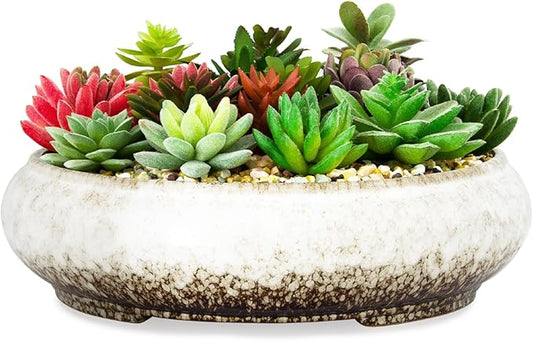 Succulent Pots - 11.5 Inch Ceramic Bonsai Pots with Drainage, Large Shallow Succulent Planters for Indoor Outdoor Plants, Round Glazed Cactus Flower Plant Container Bowl Home Desk Decor(White)