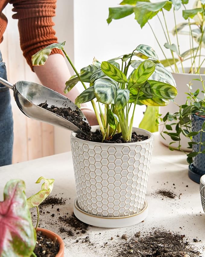 LE TAUCI Ceramic Plant Pots, 5.4 Inch Pots for Indoor Plants, Planters with Drainage Hole and Saucer, Flower Pots for Succulent, Snake Plants and Cactus, Set of 2, Reactive Glaze White