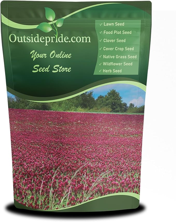 Outsidepride Crimson Clover Seeds - 40 lbs. Annual, Nitrocoated, & Inoculated Ground Cover Seeds, Ideal Clover Seed for Lawn, Cover Crop, Pasture, Hay, Green Manure & Wildlife Forage