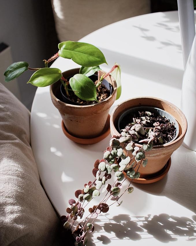 Terracotta Pots 6 Inch (4 Pack), Clay Pots for Plants with Drainage Hole and Saucer, Flower Pot with Tray, Large Terracotta Pot for Indoor Outdoor Plant