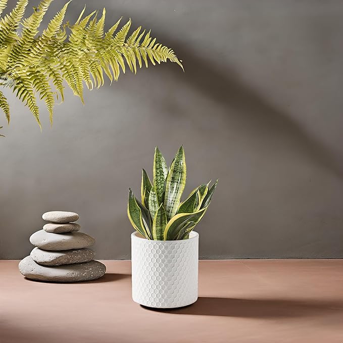 Docrin Ceramic Planters Indoor: 8 Inch Plant Pot with Drainage Holes for Home/Office - White Honeycomb