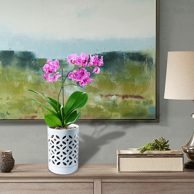 Orchid Pot with Holes & Saucers, Ceramic Pots for Repotting, Breathable Slotted Orchid Pots Flower Plant Nursery Pot White 4 Inch