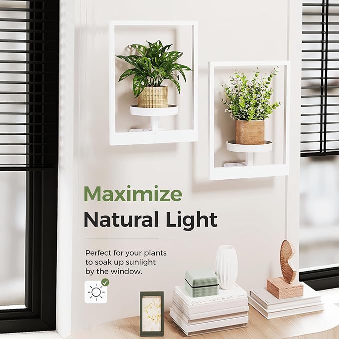 Bamworld Wall Plant Hanger Indoor Wall Planters for Indoor Plants Window Plant Shelves Wall Plant Holder Plant Stand Indoor Wall Decor, Plant Decor, Room Decor, White (Patent Design)