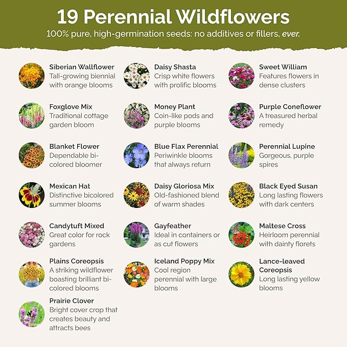 Eden Brothers All Perennial Wildflower Mixed Seeds for Planting, 10 lb, 4,800,000+ Seeds with Lupine, Shasta Daisy | Attracts Pollinators, Plant in Spring or Fall, Zones 3, 4, 5, 6, 7, 8, 9, 10
