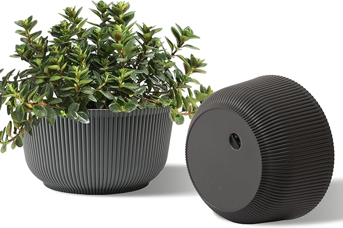 T4U 8 Inch Plant Pots, 2 Pack Self Watering Planter with Drainage Hole, Shallow Plant Pot Indoor, Home Decor Flower Pots for Plants, Cactus, Garden, Gray