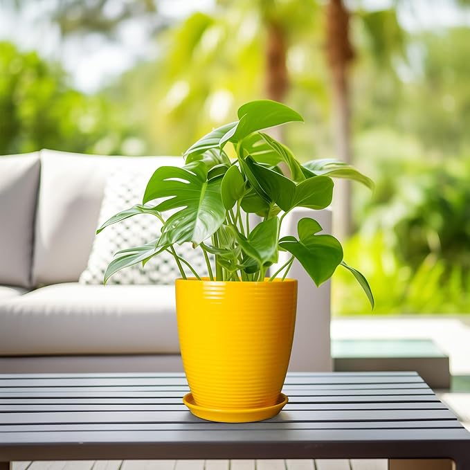 Ceramic Plant Pot - 8 Inch Planter Pot with Drainage Hole and Saucer Round Planter for Indoor Outdoor Plants Flower Pot for Home Patio Garden Office Yellow