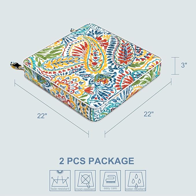LVTXIII Patio Chair Cushions 22"x22"x3", Water-Repellent Outdoor Seat Cushions for Patio Furniture, Square Chair Pads with Ties for Home Garden Decoration, Set of 2, Paisley Multi