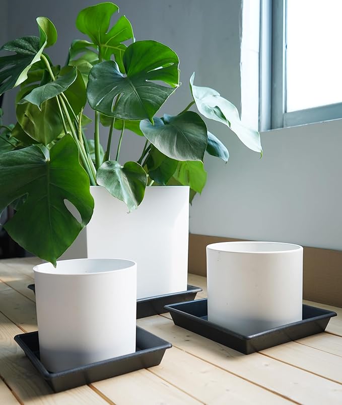 Square Plant Saucer 12 Inch 5 Pack 8 10 12 14 16 18 20 Inch, Plant Trays for Pots Heavy Duty Plastic Plant Saucers for Indoors Outdoors, Flower Pot No Holes Plant Drip Trays