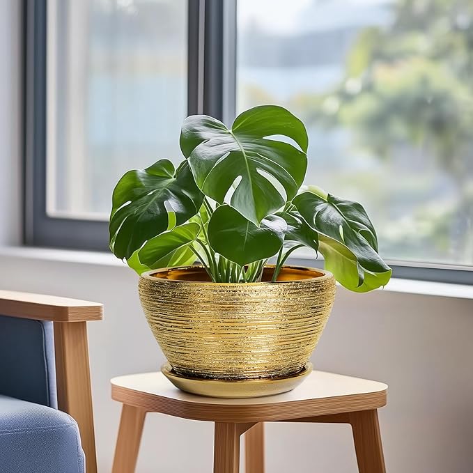 Ceramic Plant Pot Indoor - 9 Inch Planters for Outdoor Plants Decorative Plant Pot with Drainage Hole and Saucer Round Planter Modern Flower Pot Decorative for House Decor Gold