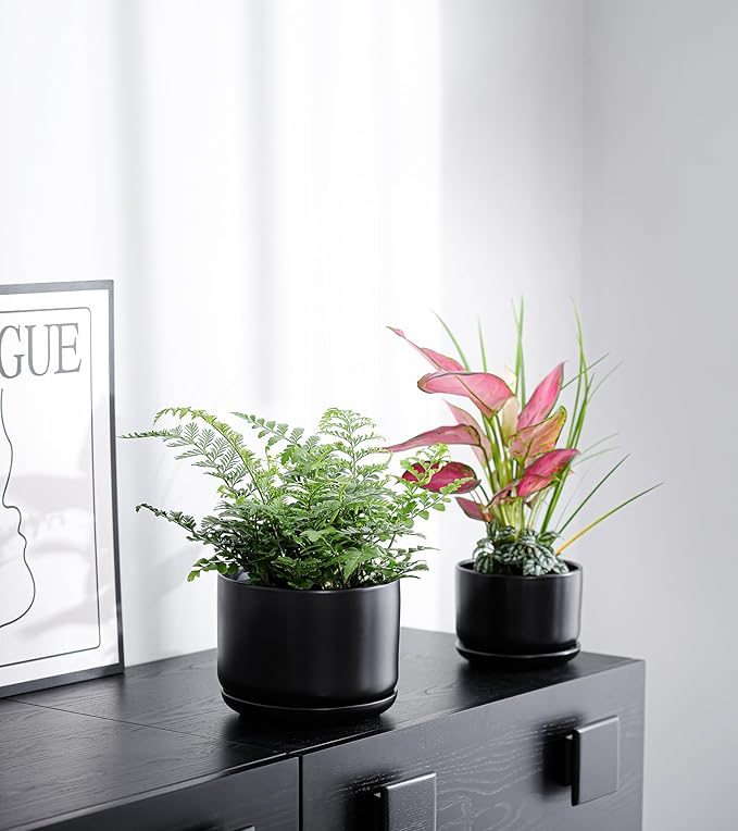 Ton Sin Plant Pots, 4.1+5.1+6.5 inch, Set of 3, Ceramic Planters with Drainage Hole and Saucer, Indoor Flower Pot with Hole Mesh Pad, Gifts for Mom（Matte Black）