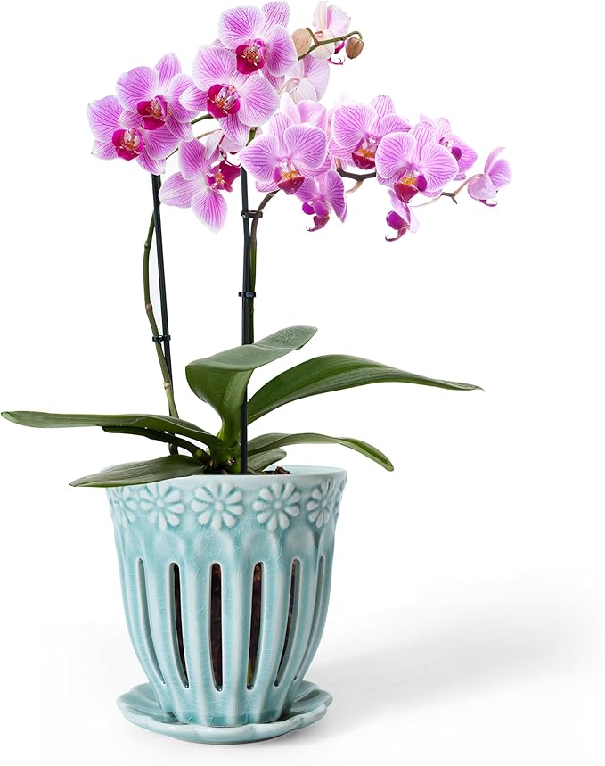 5" Ceramic Orchid Pot with Saucer: Ceramic Orchid Planter for Repotting - Plant Flower Pots for Orchid Indoor Outdoor - Orchid Pots with Holes - Orchid Container with Drainage Holes and Tray