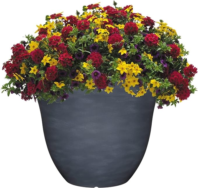 Classic Home and Garden Indoor/Outdoor Round Honeysuckle Resin Flower Pot Planter, Zinc Grey, 13"