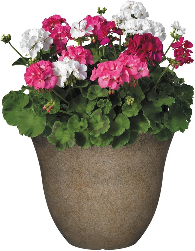 Classic Home and Garden Honeysuckle Planter, Patio Pot, 13" Fossil Stone (One Pack) (Pack of 4)