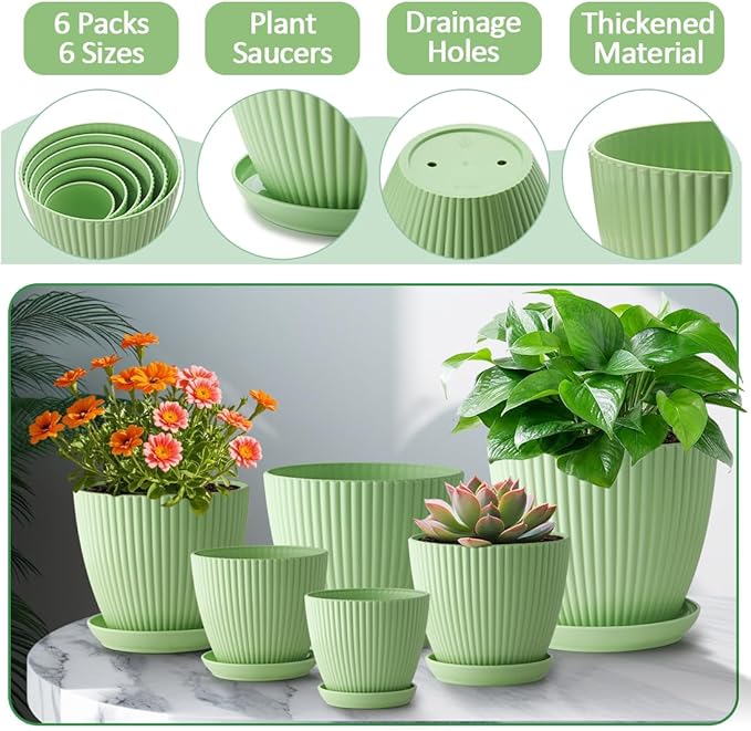Plant Pots with Drainage Holes and Tray Saucer - 7.5/6.5/5.5/4.9/4.2/3.5 Inches Flower Pots - 6 Pack Thick and Sturdy Planters for Indoor Plants Such As Orchid, Succulent and Herbs, Green