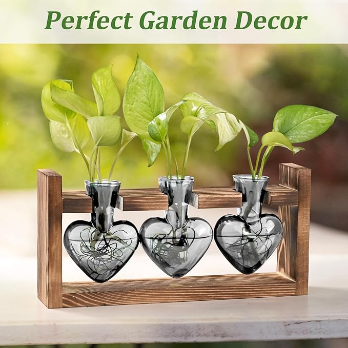 Lifecapido Heart Shaped Propagation Stations, Plant Terrarium with Wooden Stand, Plant Propagation Station for Hydroponics Plants Office Garden Home Decor, Gifts for Women Plant Lover (3 Vases, Gray)