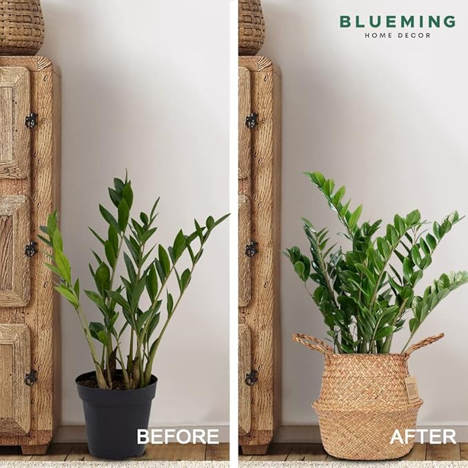 Tree Basket – Wicker Seagrass Planter for Tall Indoor Fake Olive House Plants, Decorative Rattan Baskets for 7-8 Inch Small Plant Pots (Original, Medium)