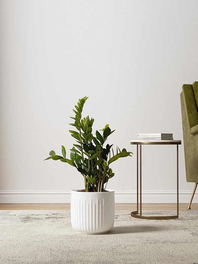 LE TAUCI Ceramic Planters, Set of 3 Plant Pots for Indoor Plants, 8.3+6.9+5.7 inch Flower Pots with Drainage Holes, Medium Cylinder Planters Pot for Indoor House Plants, White