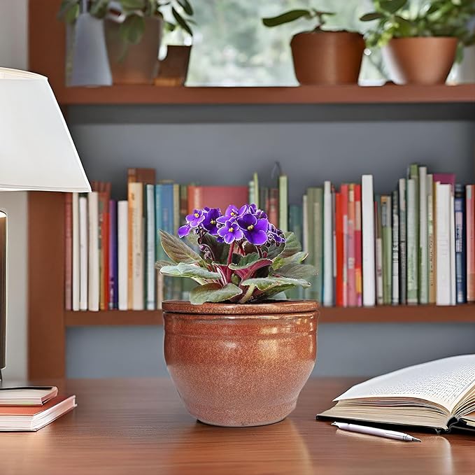 African Violet Pots Self Watering Round Ceramic Violet Pot (Copper, 6 inch)