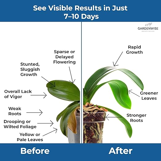 20-20-20 Water-Soluble Fertilizer – Powder for Liquid Plant Food for Indoor & Outdoor Plants, Orchids, Vegetables, Lawns, Flowers – 20 20 20 Fertilizer 4 Quarts (8 lbs)