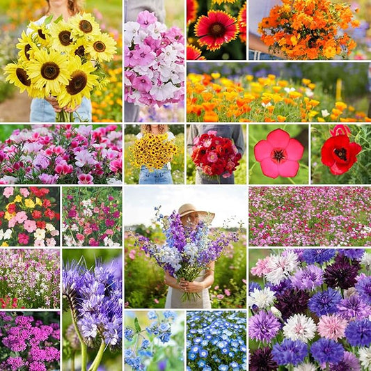 Eden Brothers All Annual Wildflower Mixed Seeds for Planting, 10 lb, 4,800,000+ Seeds Including Sunflower, Indian Blanket | Attracts Pollinators, Plant in Spring, Zones 3, 4, 5, 6, 7, 8, 9, 10
