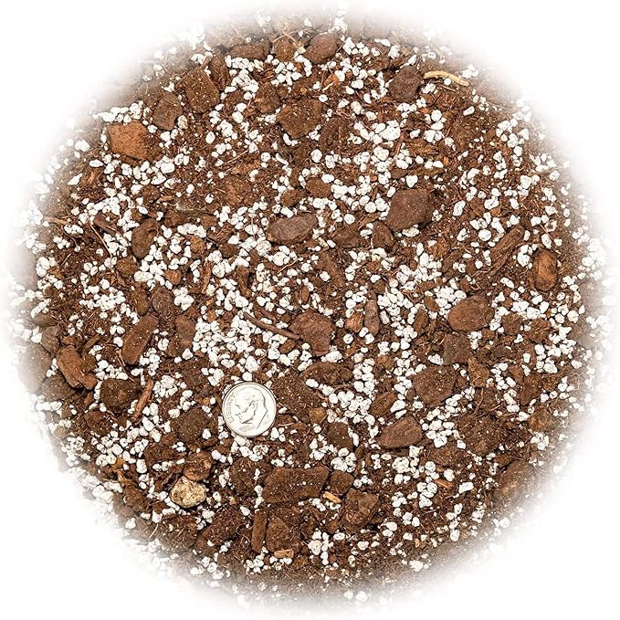 Premium Aloe Vera Potting Soil Mix - (3 Quart Bag)