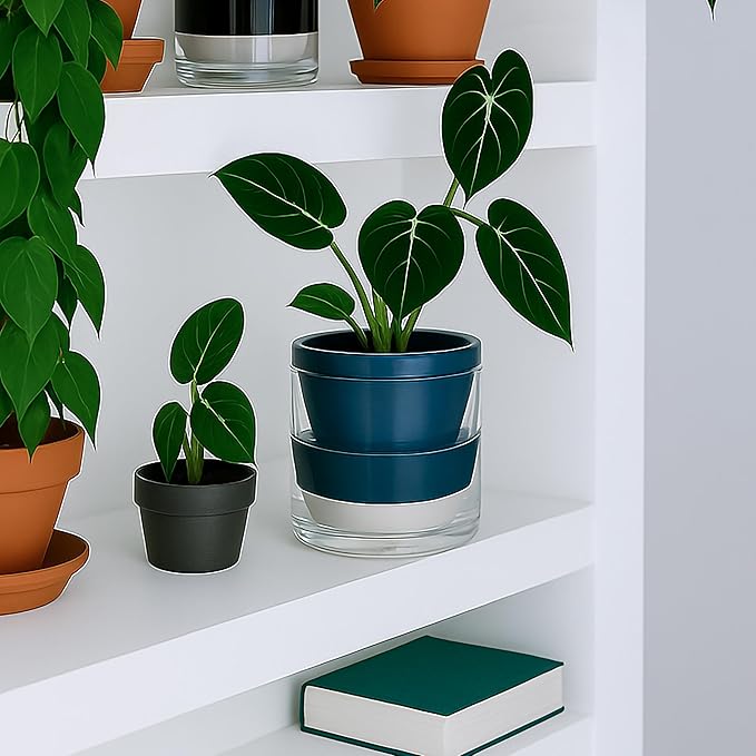 D'vine Dev 6 Inch Design Self Watering Planter for Indoor Plants, Blue Terracotta Pot with Cylinder Glass Cup, Set of 2, 37-Y-B-4