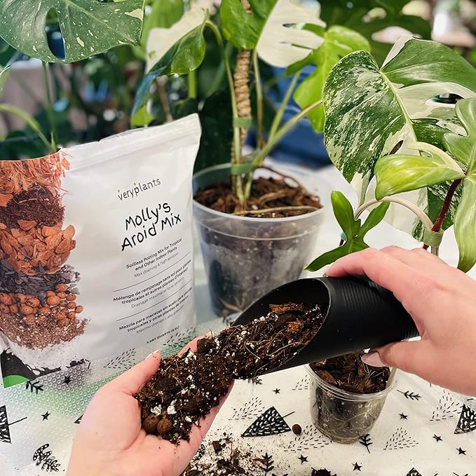 Molly's Aroid Mix - Premium Soilless Chunky Potting Mix for Tropical and Indoor Plants - Contains Orchiata Bark, Coco Chips, Worm Castings, Horticultural Charcoal, Mycorrhizae 10 Dry Quarts