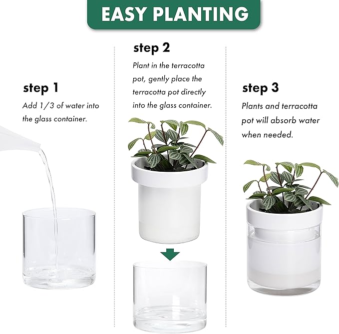 Phoenix Vine 4 Inch Self Watering Planter, White Terracotta Clay Pot with Glass Reservoir for Indoor Plants, Herbs, Flowers, Set of 4, 52-B-E-4