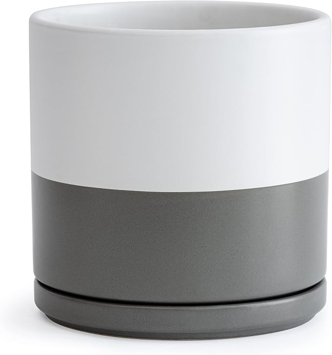 D'vine Dev 10 Inch Ceramic Planter Pot with Drainage Hole and Saucer, Indoor Cylinder Round Planter Pot, White/Speckled Grey, 94-O-E-6