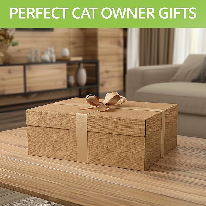 Organic Cat Grass for Indoor Cats - 4X Seed Packets | Pet Cat Grass Kit for Growing Wheat Grass w Planting Seeds, Tools & Planter