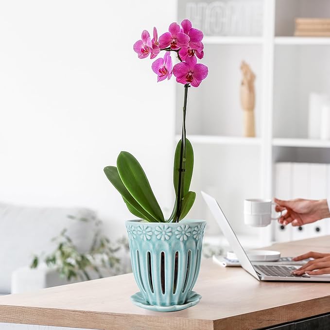 5" Ceramic Orchid Pot with Saucer: Ceramic Orchid Planter for Repotting - Plant Flower Pots for Orchid Indoor Outdoor - Orchid Pots with Holes - Orchid Container with Drainage Holes and Tray
