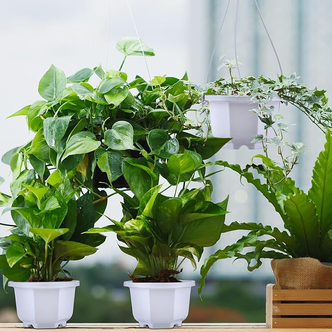 Roshtia 24 Pcs Hanging Plastic Planter Pot with Hook Flower Pots Baskets Hanging Nursery Planter Holder for Outdoor Indoor Plant Garden(Ceramic White,3.7 Inch)
