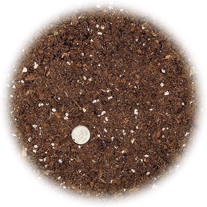 Premium Dracaena Potting Soil Mix - (10 Quart Bag)