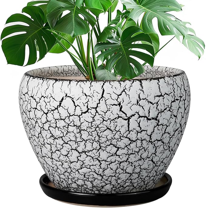Ceramic Planters for Indoor Plants - 10 Inch Plant Pot with Drainage Hole and Saucer, Large Flower Pot for Home Decor, White/Black