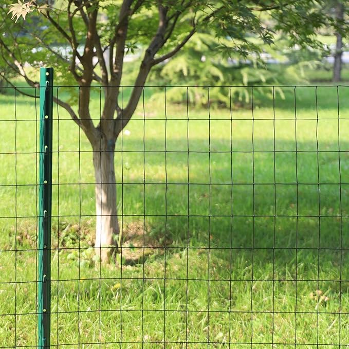 Black PVC Coated Welded Wire Fence 24 Inch x 25 Foot, 2 Inch x 3 Inch 16GA, Garden Border Fencing Roll Vinyl Coating Metal Wire Mesh for Yard Vegetable Plant Protection Poultry Netting
