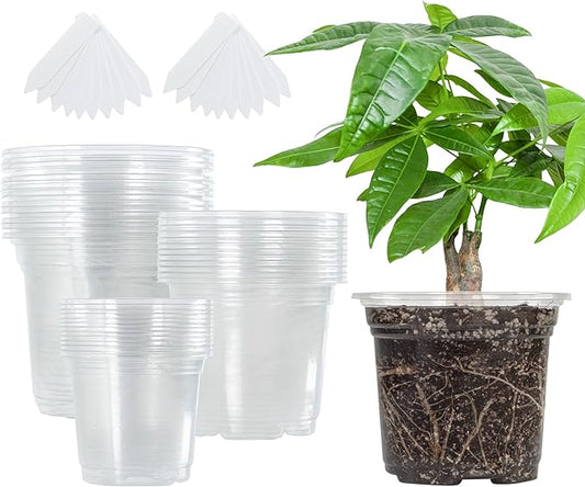 Bonviee 36 Packs 3.5/4/5 Inch Clear Nursery Pots, Transparent Plastic Planter with Drainage Holes, Seed Starting Pot Flower Plant Container -Clear