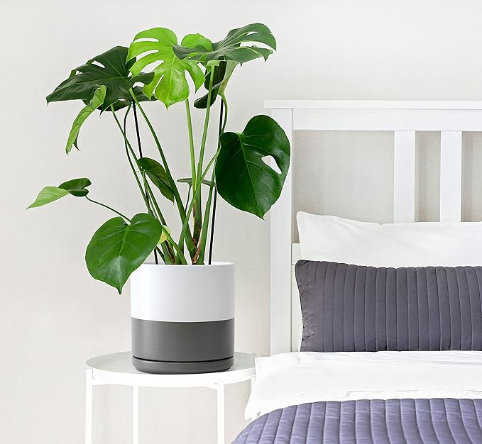 D'vine Dev 6 Inch & 8 Inch Ceramic Planter Pots for Plants with Drainage Hole and Saucer, Medium Plant Pots Set, White/Speckled Grey, 94-G-M-6