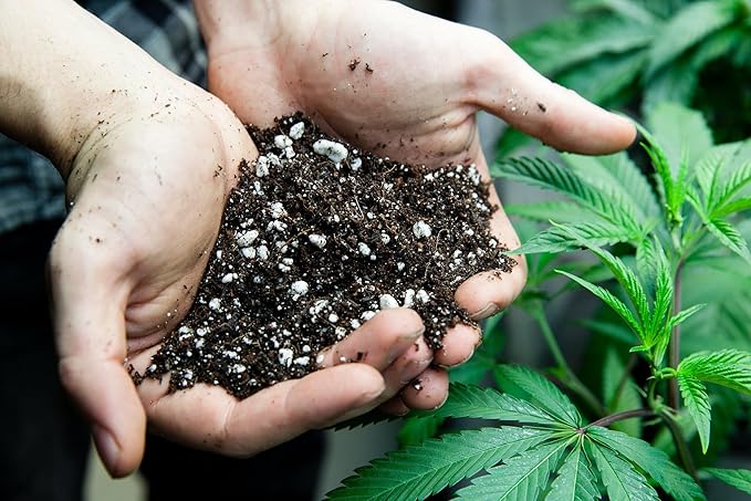 Premium Happy Plant Potting Soil Mix - Optimal Nutrient-Rich Blend for Thriving and HIGH-Yield Herbal Plants - 10 Quart