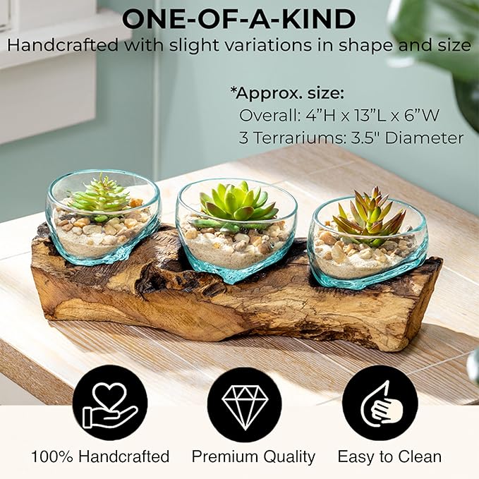 Cape Craftsmen Set of 3 Terrariums | Hand-Blown Blue Tinted Bubble Glasses On Natural Teak Driftwood Terrarium | Home Décor Indoor Planter with Stand | Glass Clear Pots for Succulent and Plants