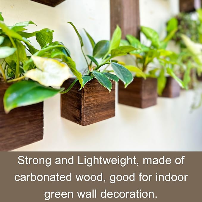 LaLaGreen Indoor Planter Box for Plants (12 Pack, 4x4 Inch) Small Square Wooden Wall Mounted Planters Wood Window Boxes Hanging Flower Pot Plant Holder Outdoor Herb Modern Vertical Garden Home Decor