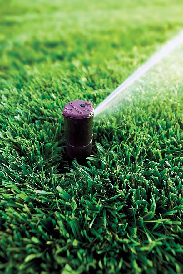 Rain Bird CP5000NP Purple Top Non-Potable Water Simple Adjust Gear Drive Rotor, Adjustable 40° - 360° Pattern, 26' - 38' Spray Distance