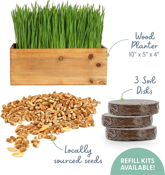 The Cat Ladies Cat Grass Kit (Organic) with Rustic Wood Planter, Seed and Soil. Easy to Grow for Indoor or Outdoor Cats, Dogs and Other Pets. Prevent Hairballs and Aid Digestion