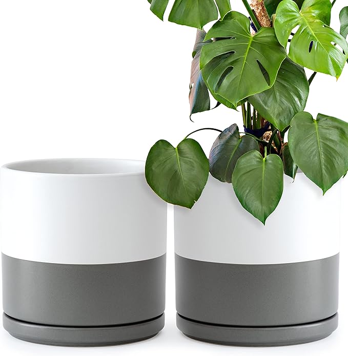 D'vine Dev Set of 2 Plants Pots, 10 Inch Ceramic Planter Pot for Plants with Drainage Hole and Saucer, White/Speckled Grey, 94-V-E-6