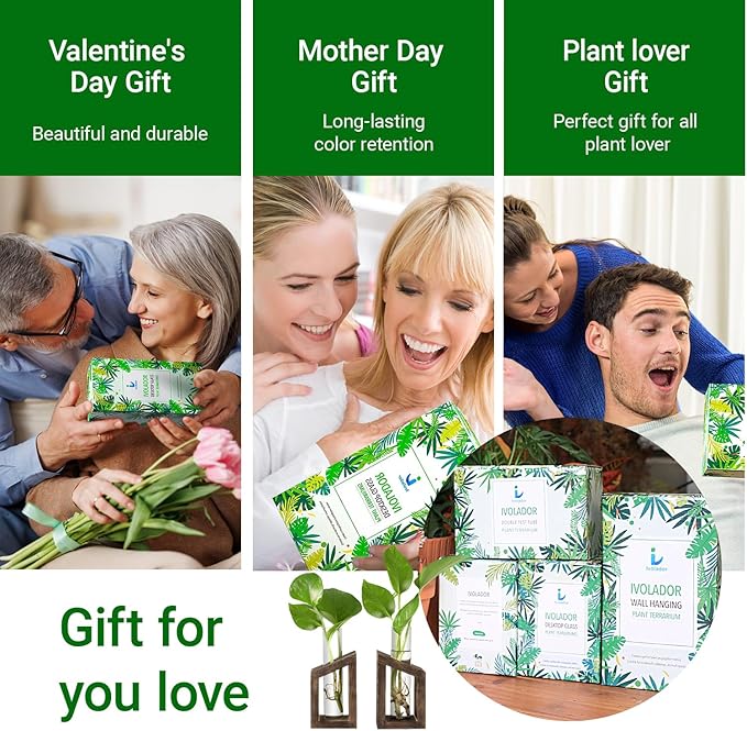 Ivolador Test Tube Propagation Stations Pothos Planter Terrarium Container Perfect for Propagating Hydroponic Plants Home Office Garden Decor Wedding -2 PCS